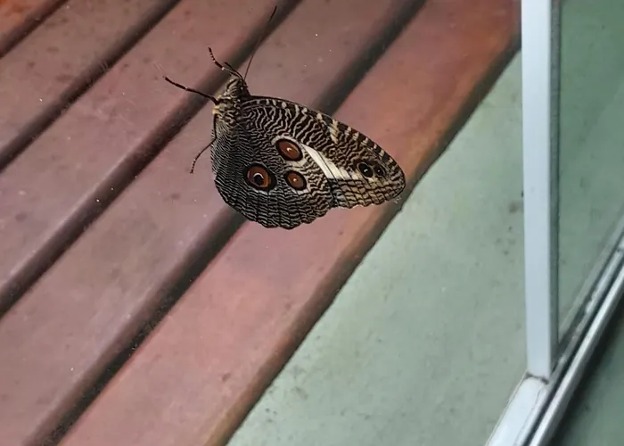 La Casa Rozada Prumirim Ubatuba